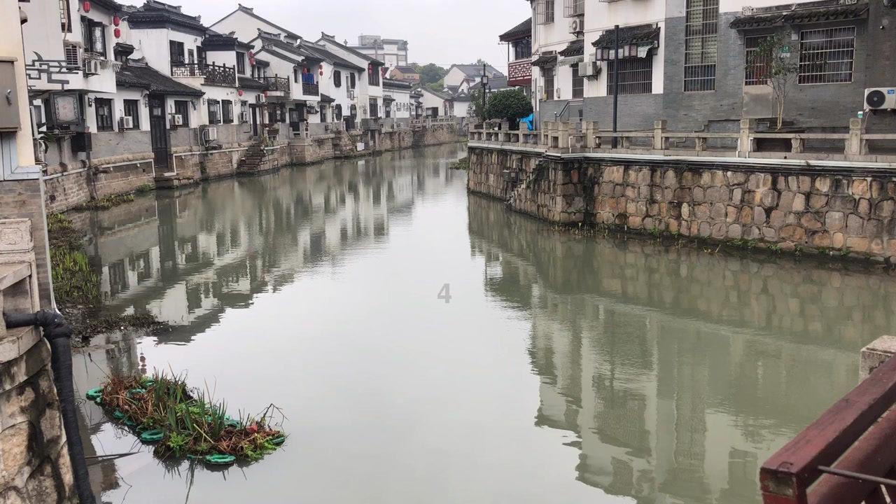 植物大战僵尸8